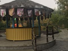 -南宫温泉水世界