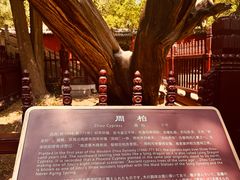 -晋祠公园