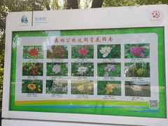 -昆山城市生态森林公园