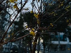 -月坛公园