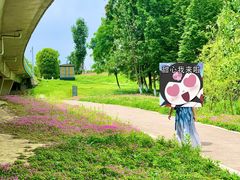 -白鹭湾湿地公园