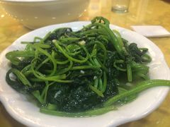 -乡土特色.冷锅鱼.牦牛肉汤锅