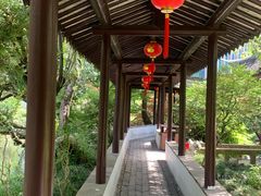 -上海醉白池公园