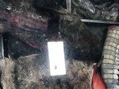 -潮信鱼头王(西环店)