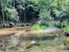 -玉渡山自然风景区