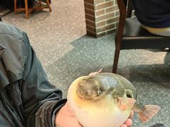 -永安鱼庄·镇江菜(东吴路店)