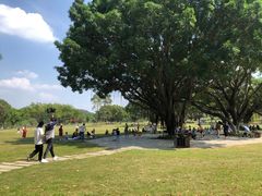 -东莞植物园