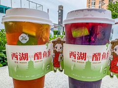 -炖物24章·顺时轻养茶(黄龙店)