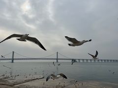 -星海广场