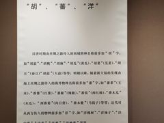 -西安大唐西市博物馆