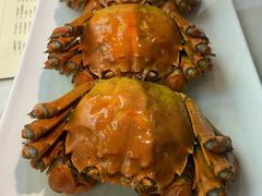 -肥肥虾庄·金牌油焖大虾(沙湖店)