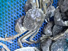 -阳澄湖半岛旅游度假区