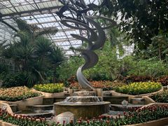 -南山植物园