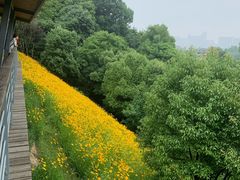 -西湖风景区-江洋畈生态公园