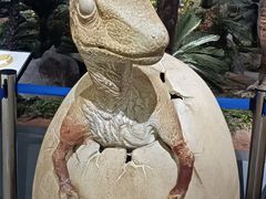 -湖南省地质博物馆