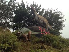 iphone_upload_pic-自贡恐龙博物馆