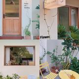 中山探店💐闯入奶油色的法式浪漫花店