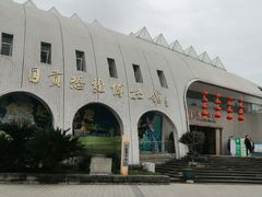 -自贡恐龙博物馆