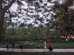 -成都市活水公园