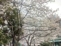 景观位-玛格萝妮比萨屋(四平店)