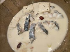江团鱼-云中鱼蒸汽石锅鱼(川沙百联店)