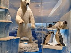 -国家自然博物馆