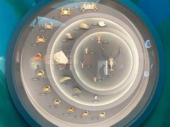 -中国湿地博物馆