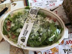 -油梨树AVOCADO TREE(顺义新国展店)