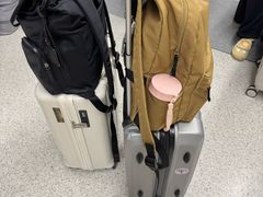 -约翰·菲茨杰拉德·肯尼迪国际机场