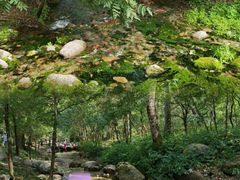 -玉渡山自然风景区