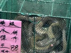 -荔城生鲜盛宴(番禺旗舰店)
