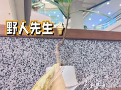 -野人先生Gelato(上海长宁龙之梦店)