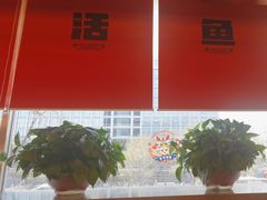 -雅佳神话·麻辣烤鱼(新街口店)