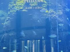 -OPEN開全日自助餐厅·牛肉火锅·海鲜(佛山希尔顿酒店)