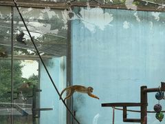 -秦皇岛野生动物园