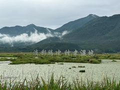 -腾冲北海湿地