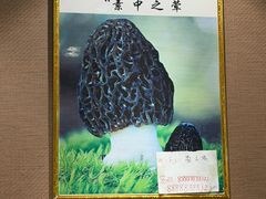 -菌之家·专业纯野生菌火锅·特色炒菌