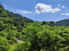 -黄帝陵