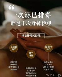 -玛莲朵·海菲秀冰珀科