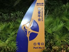 -演武大桥观景平台