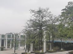 -东莞植物园