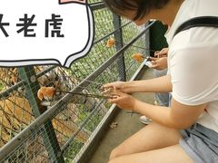 -五龙山野生动物王国