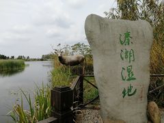 -溱湖国家湿地公园