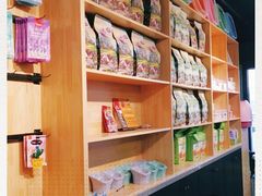 -猫十亿·布偶金渐层·曼基康矮脚猫舍(青年路店)
