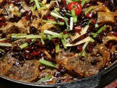 -老板恋上鱼(荣盛广场店)