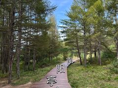 -图们口岸
