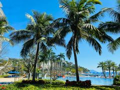 -深圳大梅沙京基洲际度假酒店