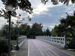 -尚贤河湿地