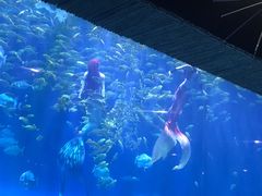 -华夏文旅海洋公园