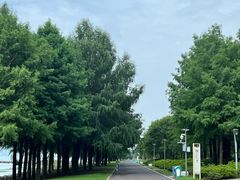 -苏州湾体育公园